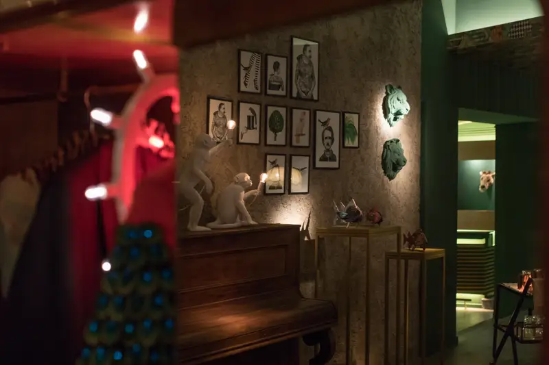 Il salotto con il pianoforte e le scimmie luminose